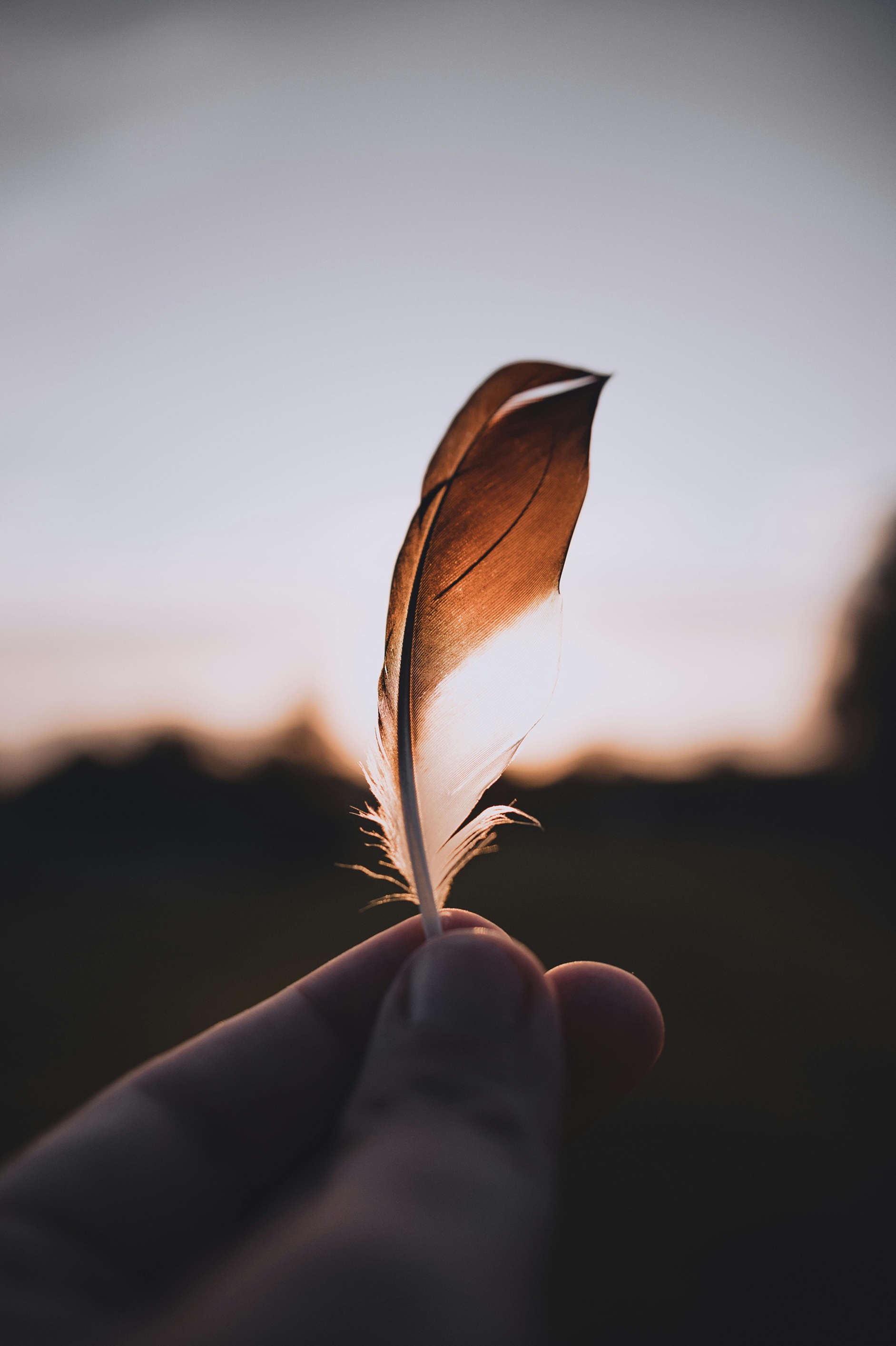 Plume